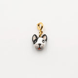 Charm's bulldog