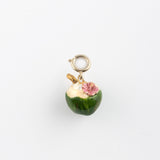 Maxi charm's noix de coco
