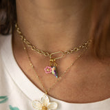 Charm's colibri d'Anna