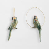 Green parrot creoles