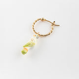 Mini white parakeet creole - Sold individually
