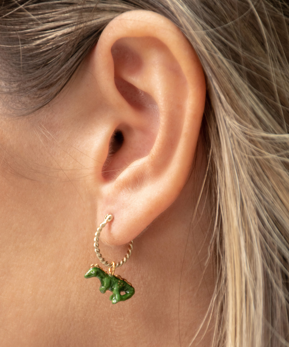 Mini dinosaur creole