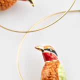 African bee-eater creoles