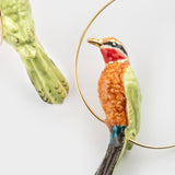 African bee-eater creoles