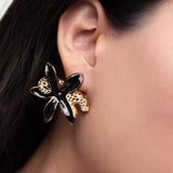 Puces d'oreilles léopard et fleur d'Erine