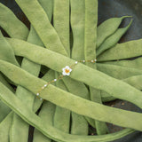 Bracelet fleur de poirier