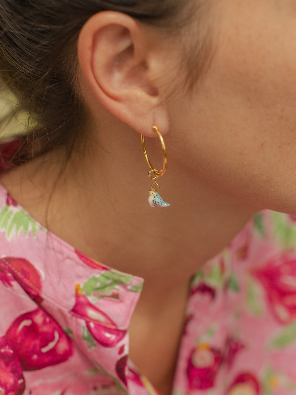 Charm's oiseau bleu