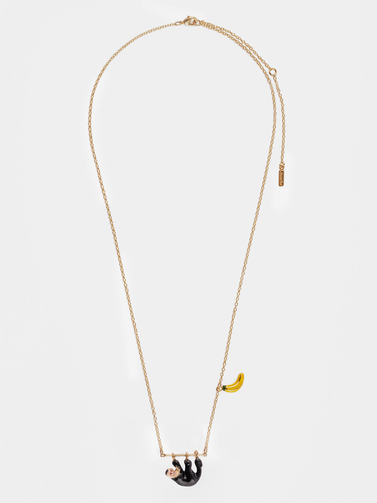 Collier capucin sur branche