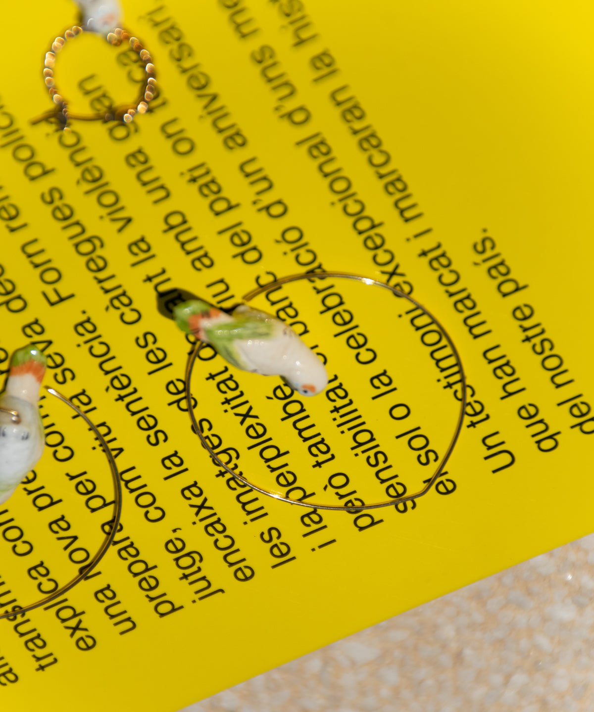 Créoles perruche blanche