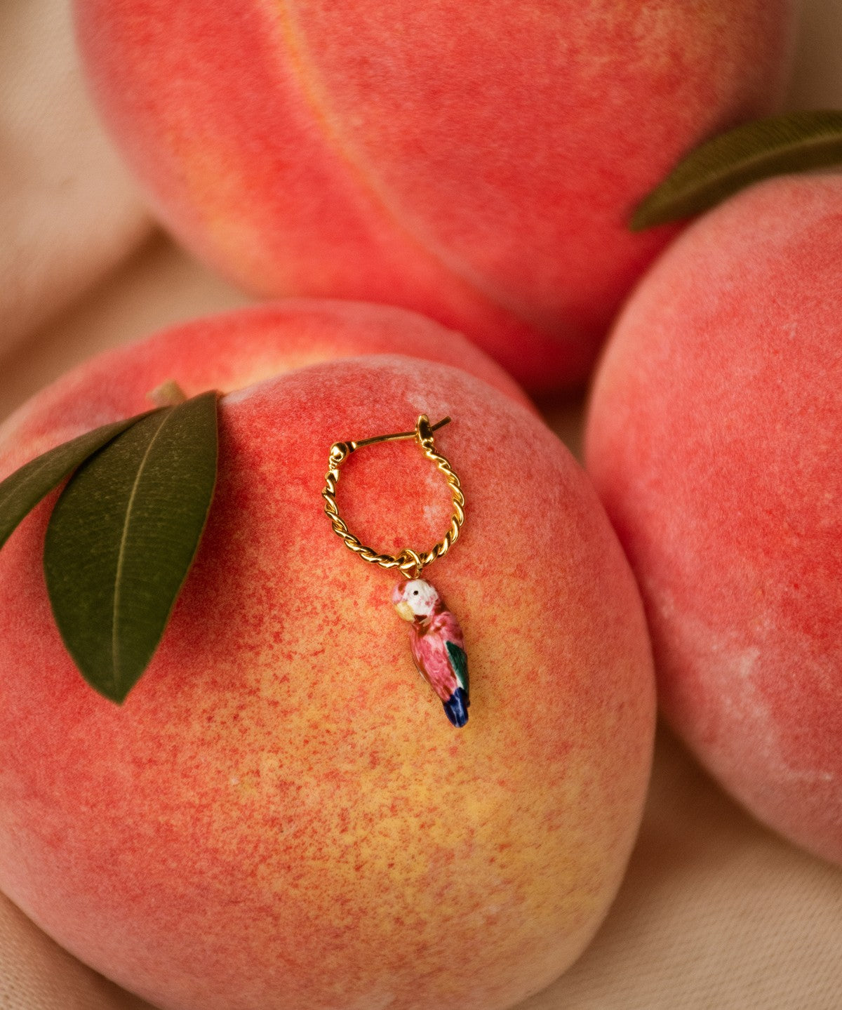 créole perroquet rose nach