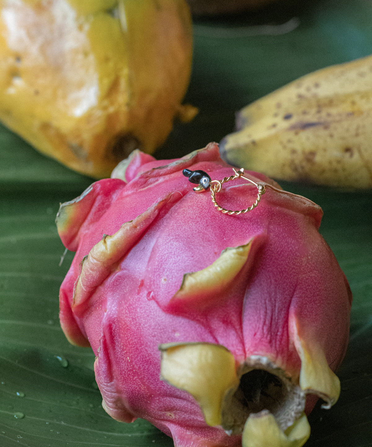Mini créole toucan - Vendue à l'unité