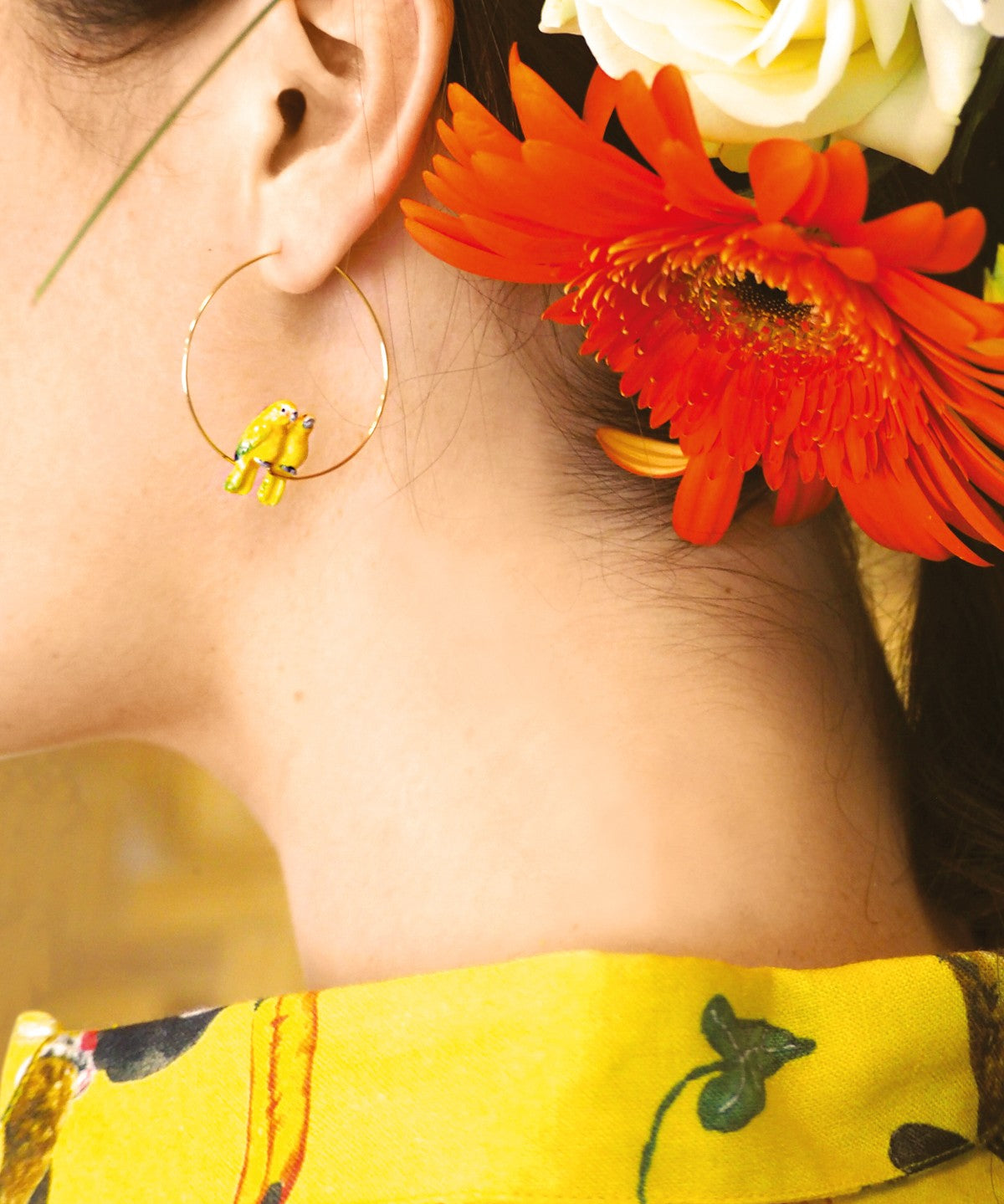 créoles oiseau perroquet jaune