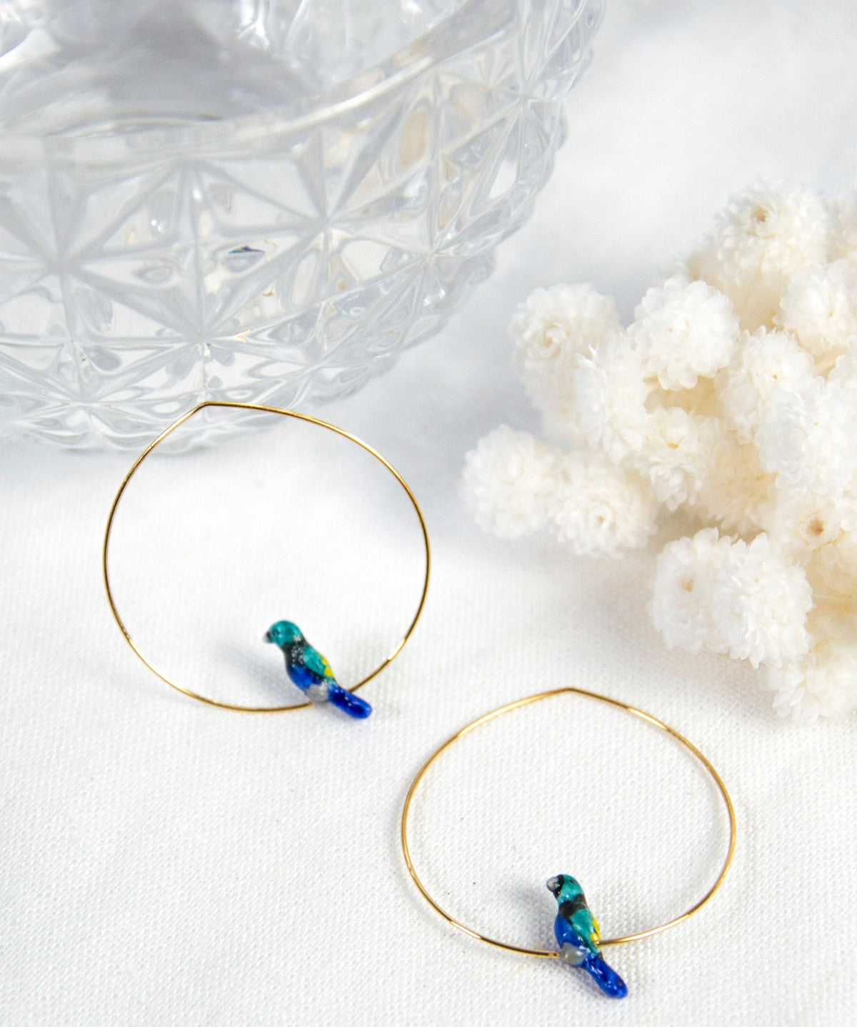 Petites créoles oiseau