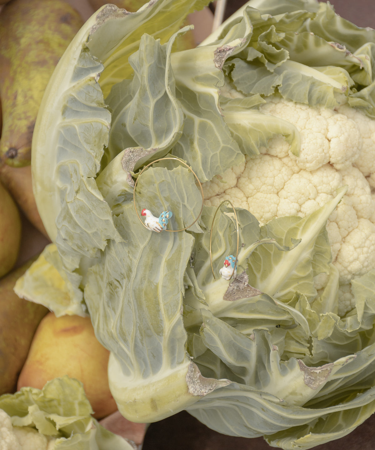 Petites créoles poule