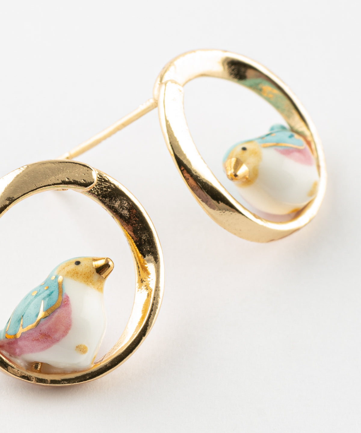 Puces d'oreilles rondes oiseau bleu