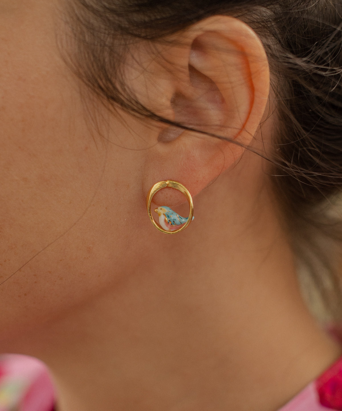 Puces d'oreilles rondes oiseau bleu