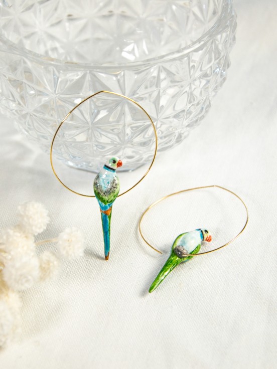 Blue and green parrot hoops