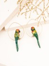 golden creoles parrot green red yellow and blue porcelain