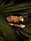 Agrafeuse léopard porcelaine peint à la main