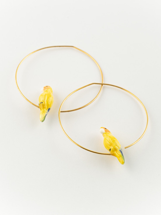 créoles oiseau perroquet jaune