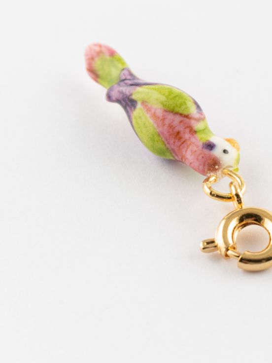 Red-breasted budgerigar charm's