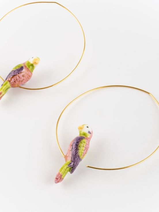 Red-breasted budgerigar small hoops