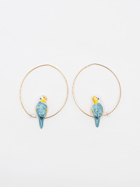 Blue budgerigar bird hoops