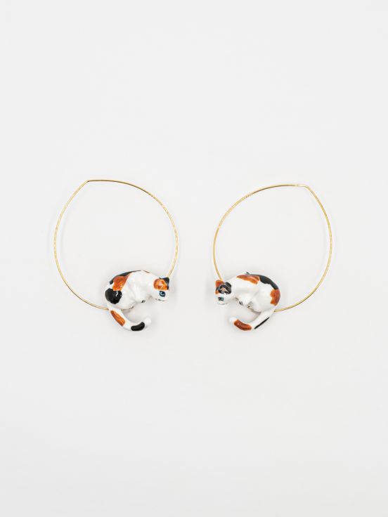 Suspended cat hoops