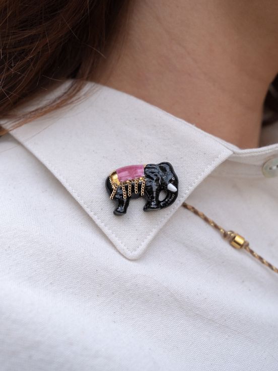 Asian elephant pins