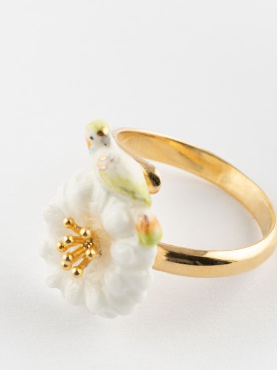 Budgerigar on white dandelion ring