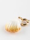 Pearly shell charm's