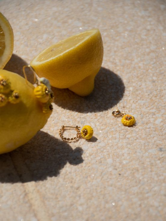 Mini créole pissenlit jaune - Vendue à l'unité