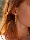 Pendants & budgerigar earrings
