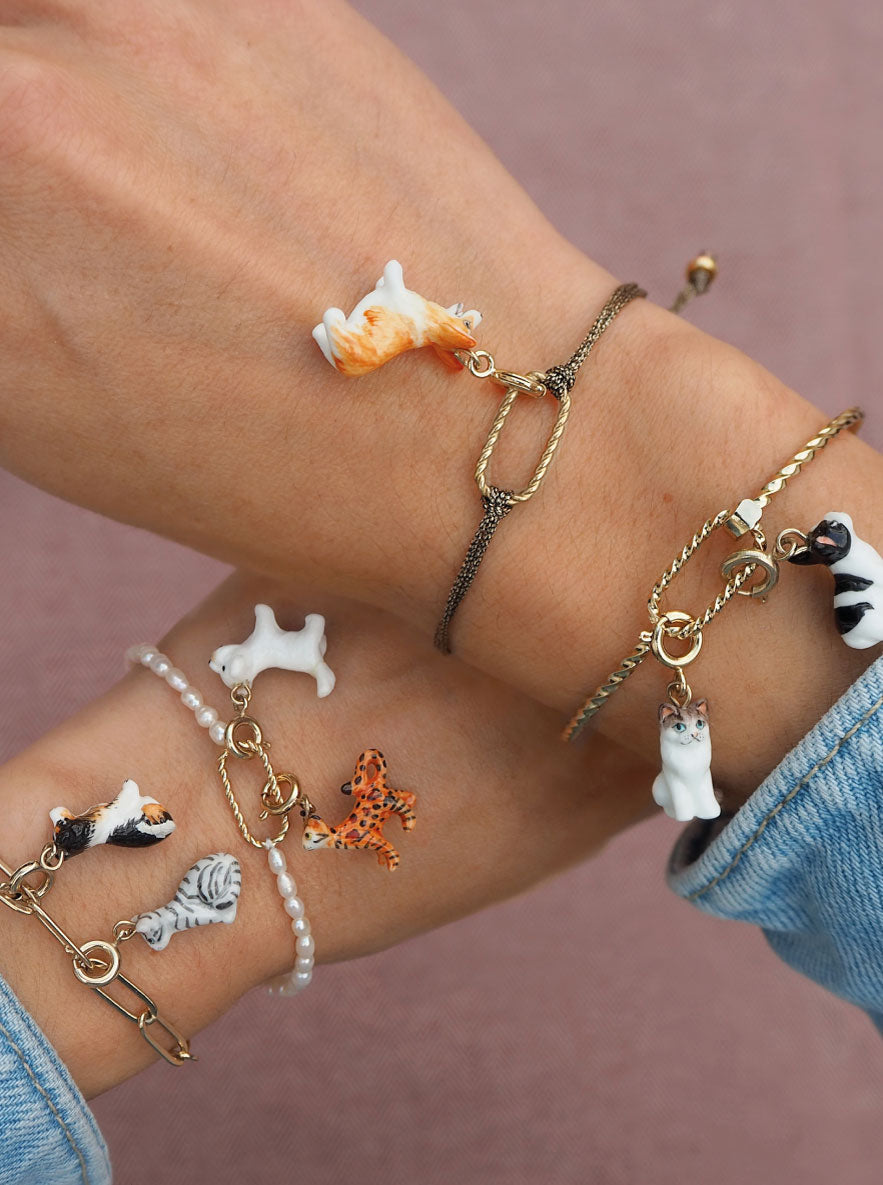 New collection 