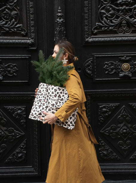 Image de diapositive