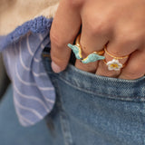 FaceToFace Bird Ring Blue Warbler