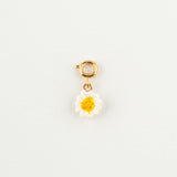 Charm's marguerite