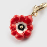 Charm's red anemone