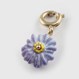 Charm's purple anemone flower