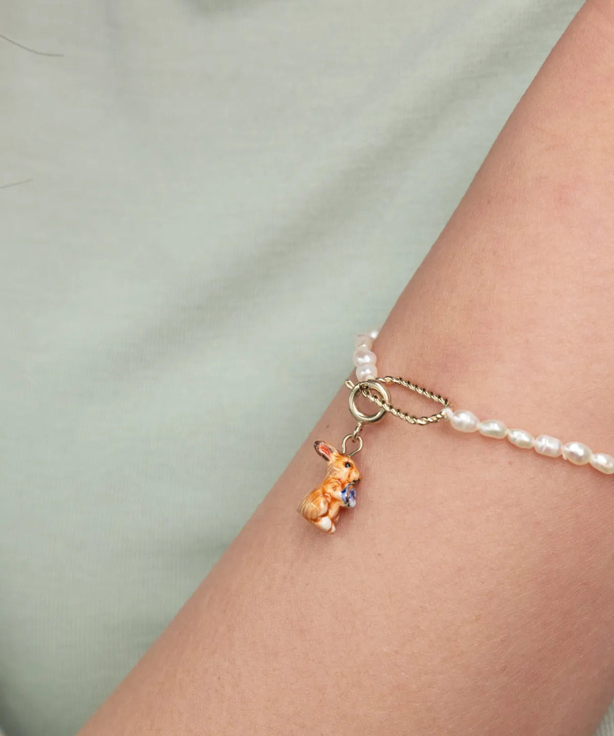 Charm's brown rabbit