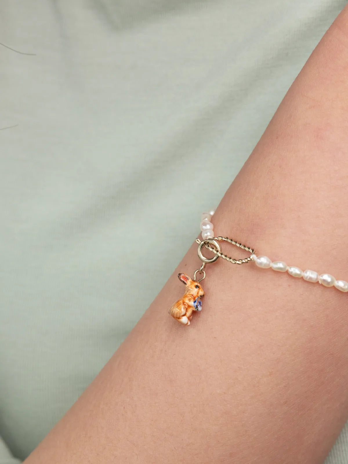 Charm's brown rabbit