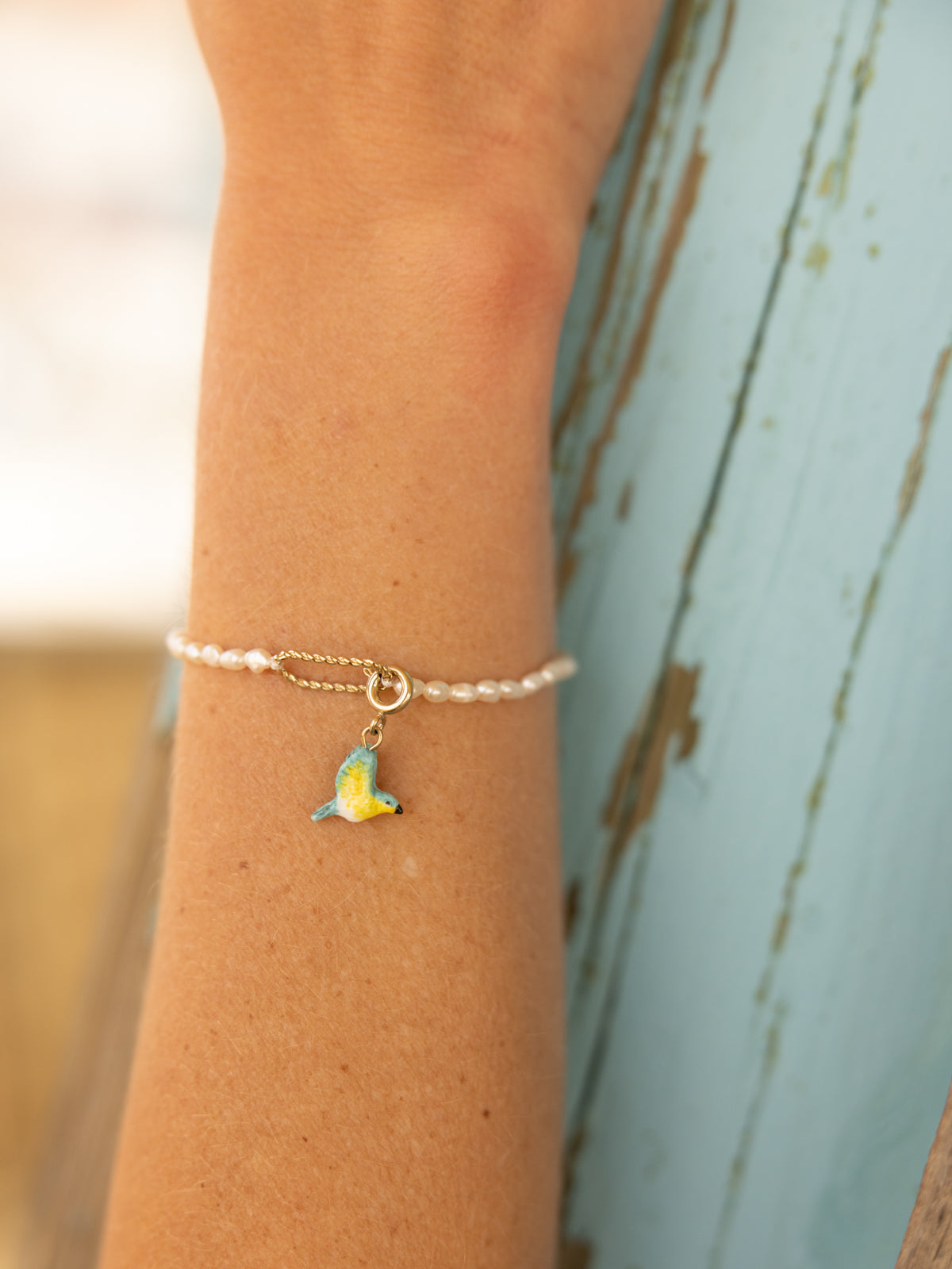 Charm's Blue Warbler