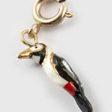 Charm's Spotted Woodpecker