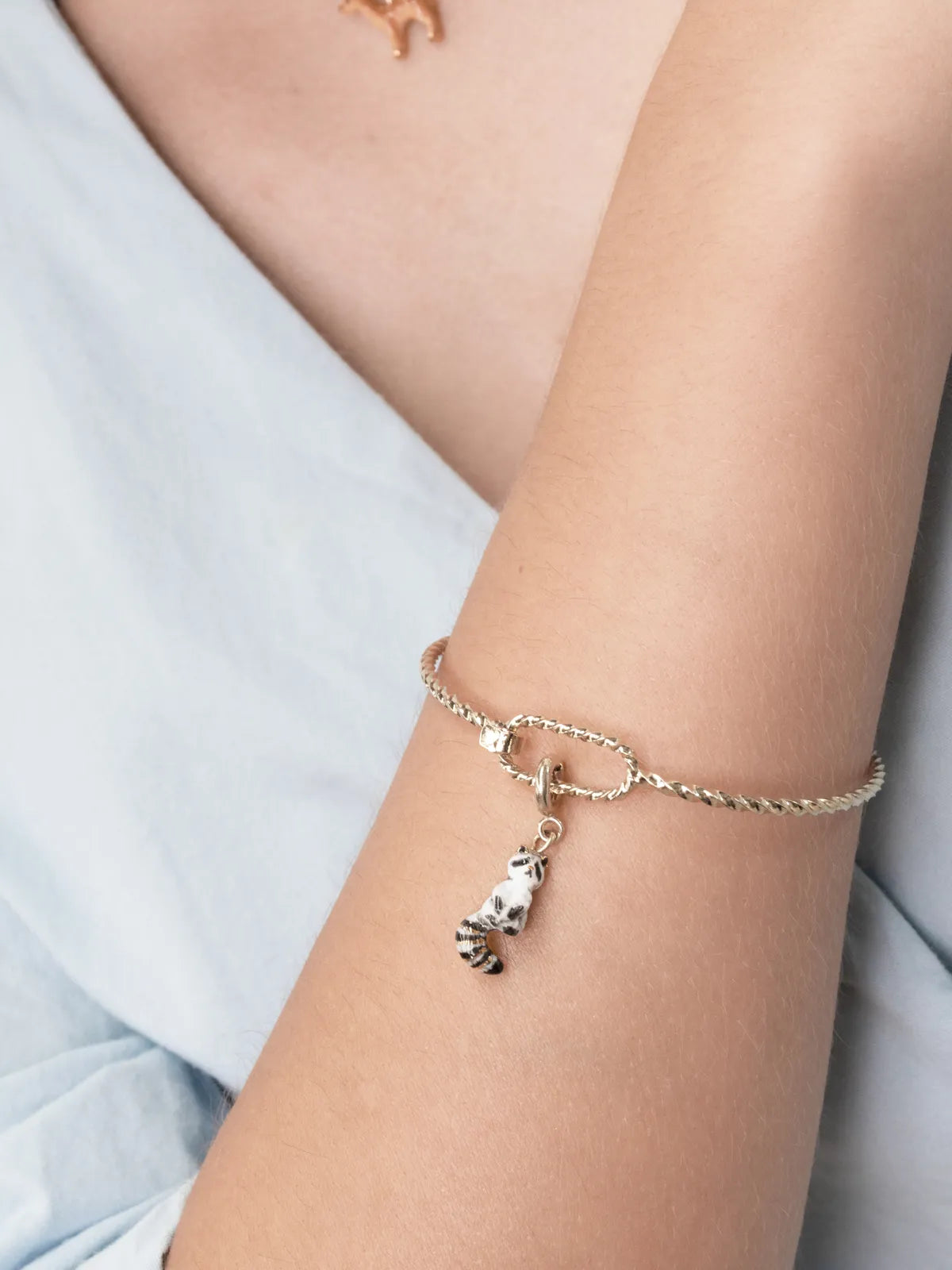 Charm's Raoul the Raccoon