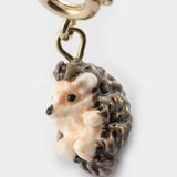 Charm's hedgehog
