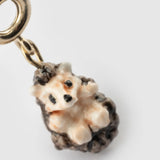 Charm's hedgehog