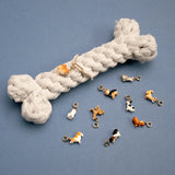 Charm's Yorkshire Dog