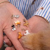 Charm's Spitz Dog