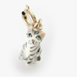 Charm's Tabby Cat