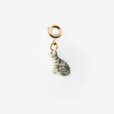 Charm's Tabby Cat